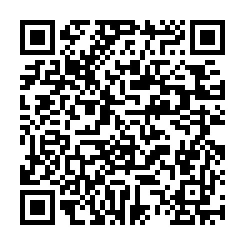 QR code for RYZ 006