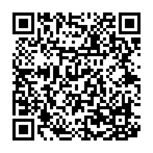 QR code for plate SAY 676