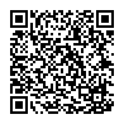 QR code for SBA 313