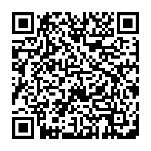 QR code for SDF 029