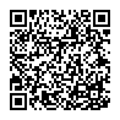 QR code for SDG 029