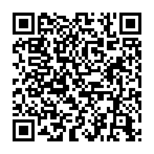 QR code for SDM 011