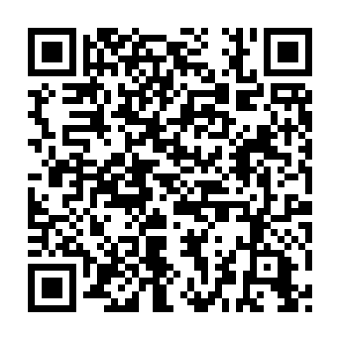 QR code for SDQ 601