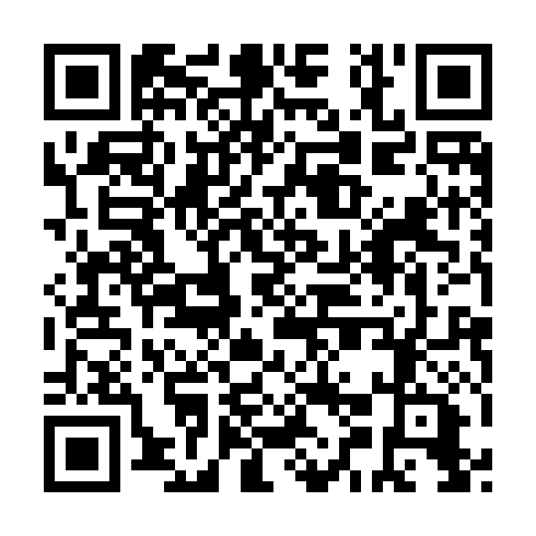 QR code for SEG 217