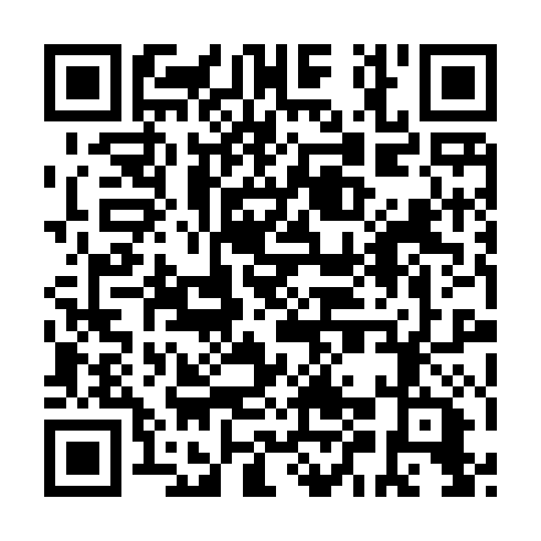 QR code for SEG246