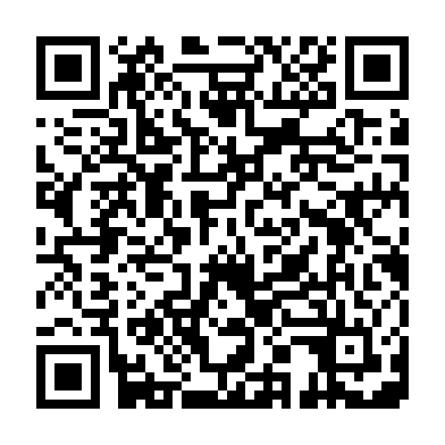 QR code for SEO 250