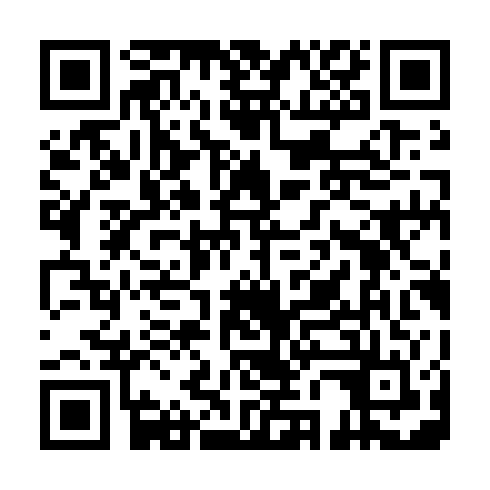 QR code for SEO 313