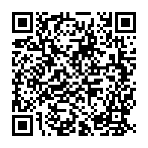 QR code for plate SGD 234