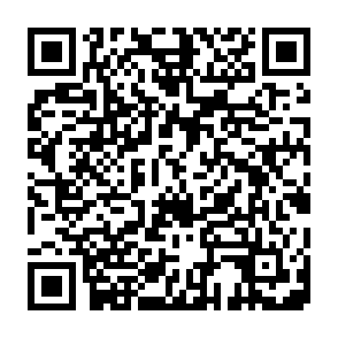 QR code for plate SGD 733