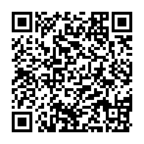QR code for SIC384