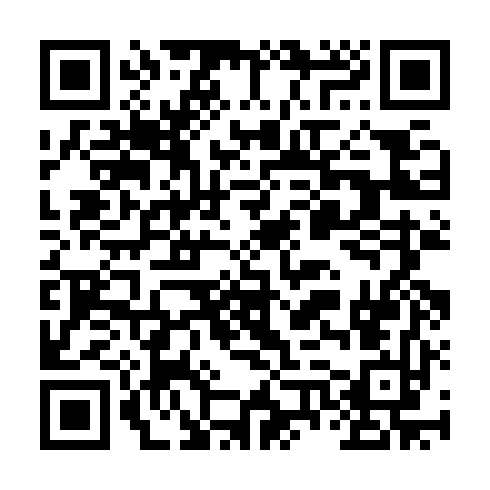 QR code for SIN004