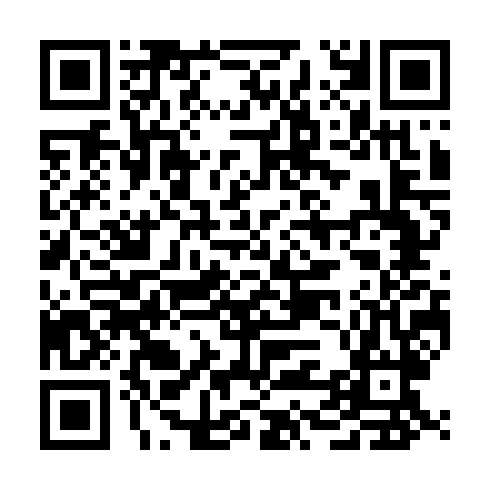 QR code for SIN293