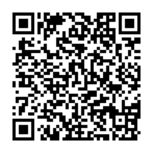 QR code for SIN685