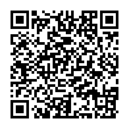 QR code for SJE 333