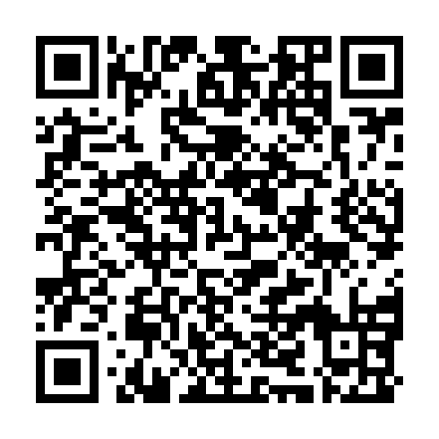 QR code for SLK 383