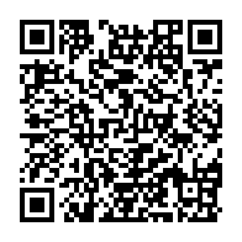 QR code for SMI 771
