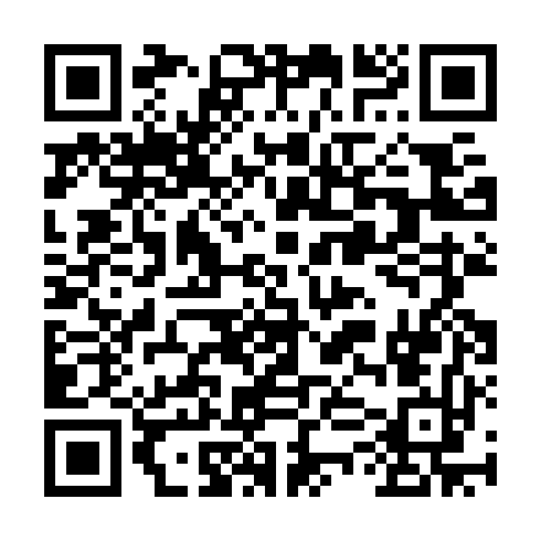 QR code for plate SMN 382
