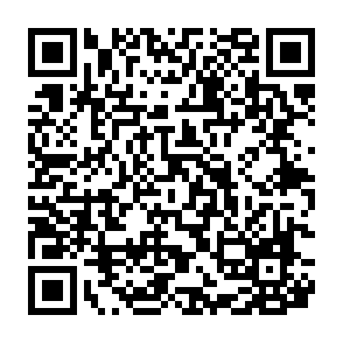 QR code for SNF 313