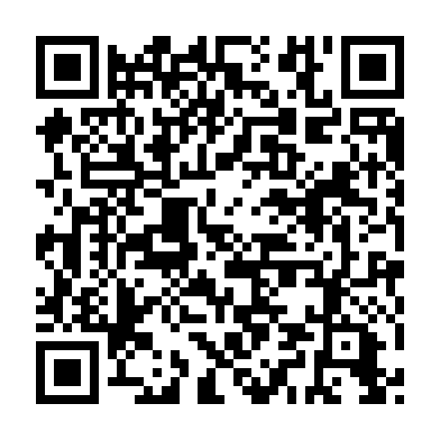 QR code for plate SPN 993