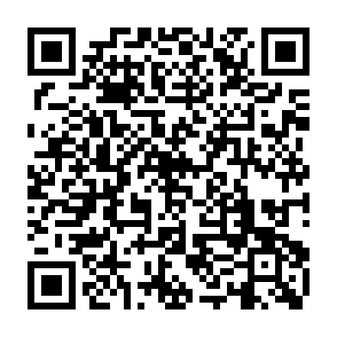 QR code for SPP 595