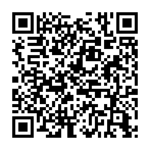 QR code for SSA 101