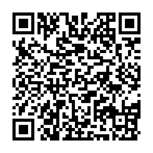 QR code for SSI 995