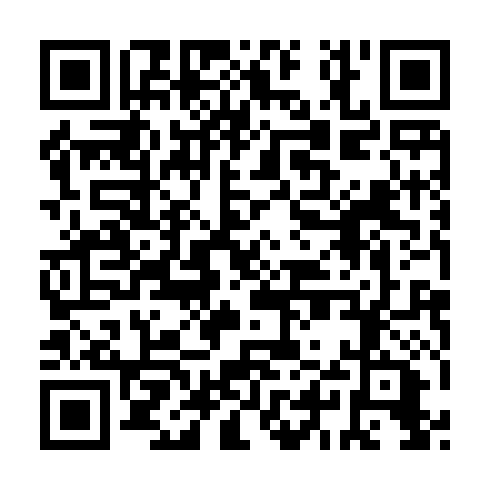QR code for SSX 216
