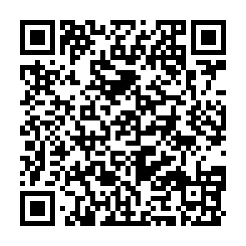 QR code for plate STA 919