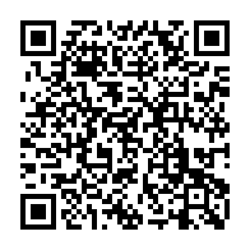QR code for STN295
