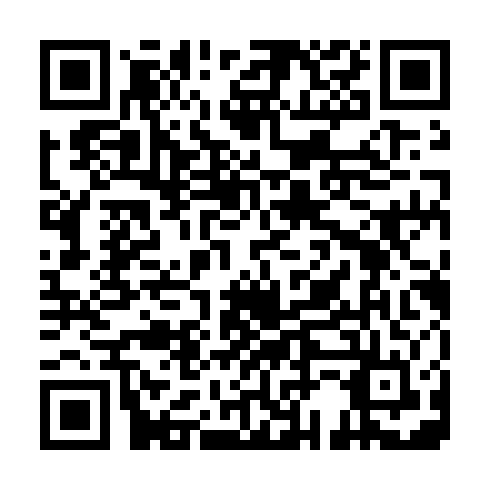 QR code for SWN 553