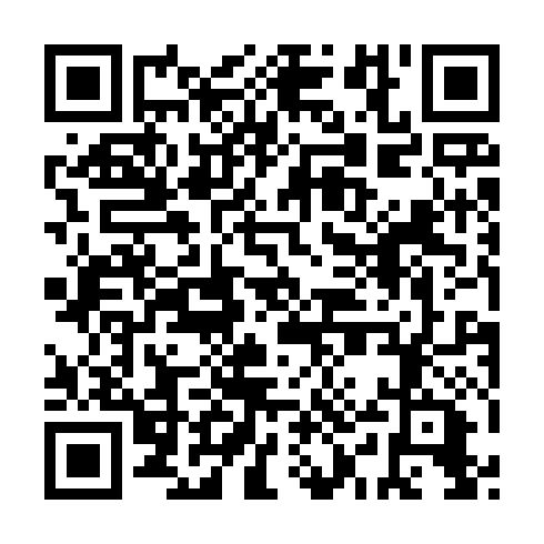 QR code for SYT 920