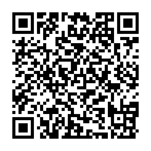 QR code for plate TAN 401