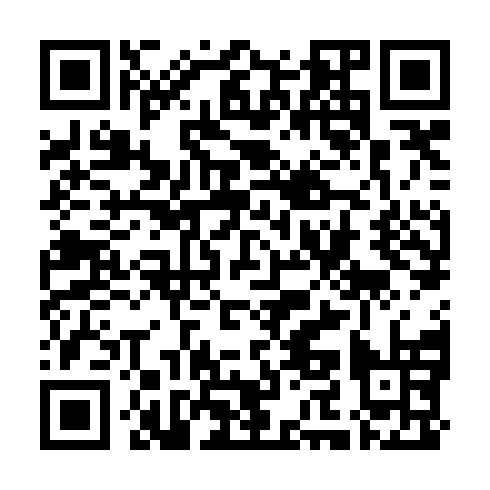 QR code for TDL 384