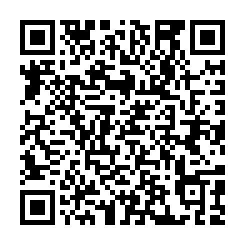 QR code for TDP 295