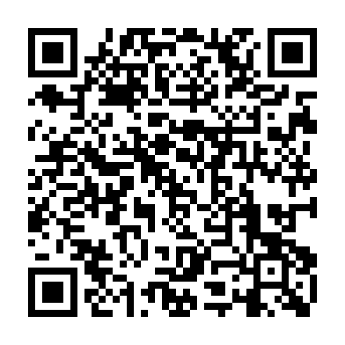 QR code for TDR 313