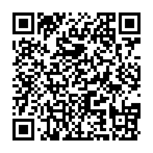 QR code for TEM 919