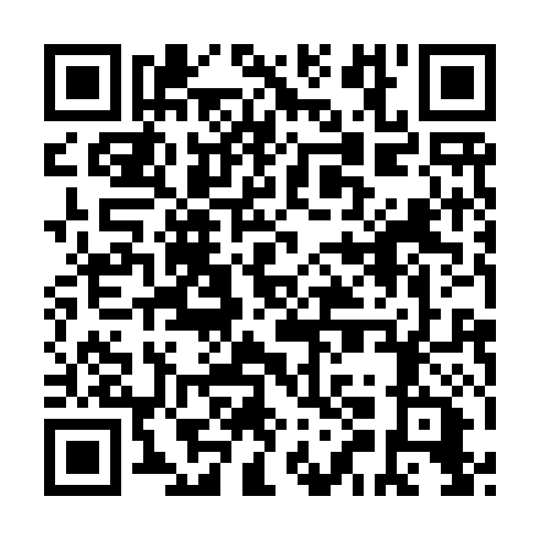 QR code for plate TEN 919