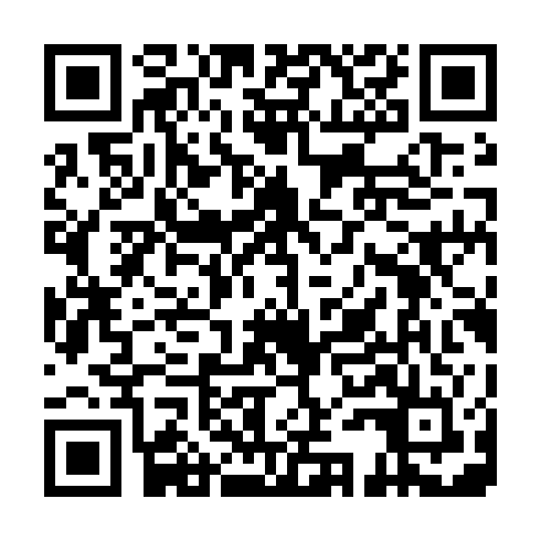 QR code for plate TFG 513