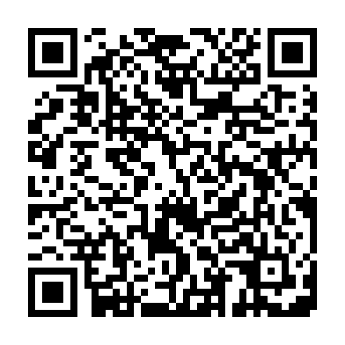 QR code for TII 295