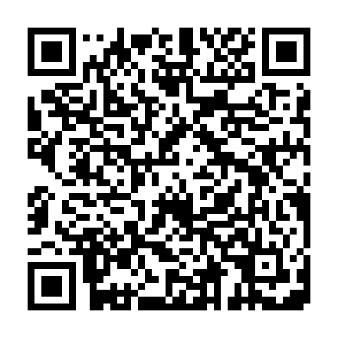 QR code for TIP 384