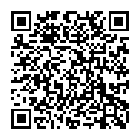 QR code for plate TJJ 343