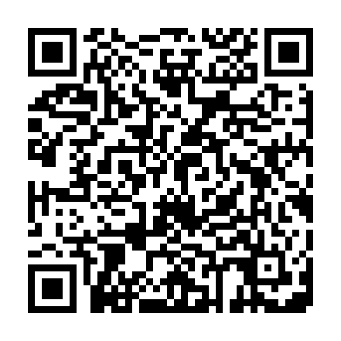 QR code for TLM 919