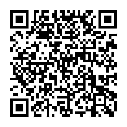 QR code for plate TME 383