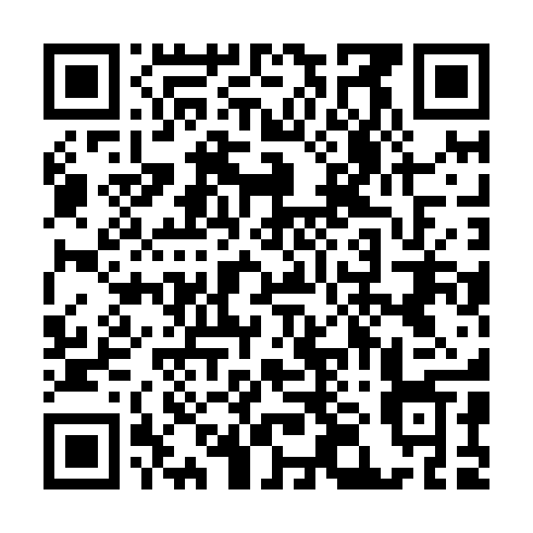 QR code for plate TMZ 411