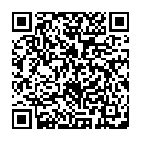 QR code for TPI 113