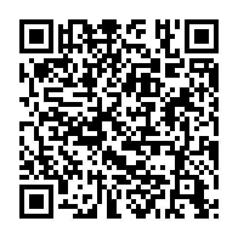 QR code for plate TPI 333