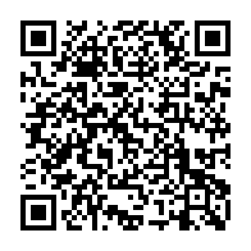 QR code for TVL 384