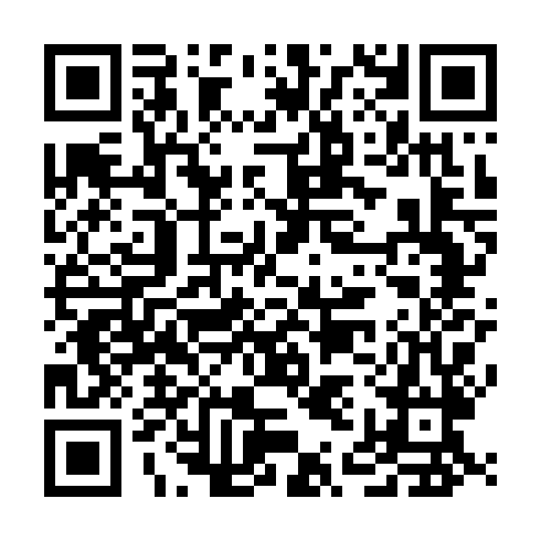 QR code for plate TXH 161