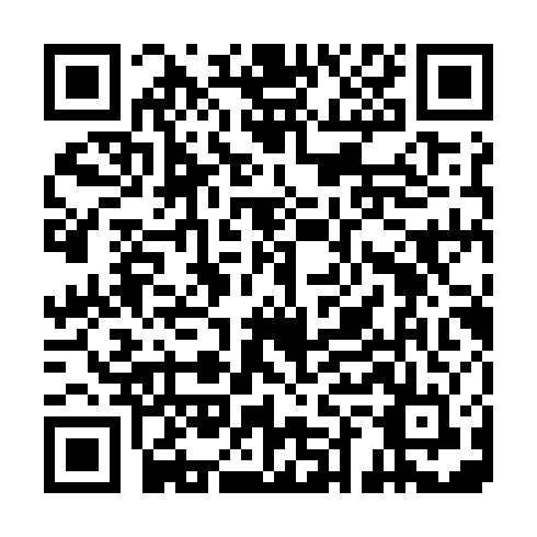 QR code for plate TYE 256
