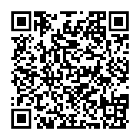 QR code for TZM 413